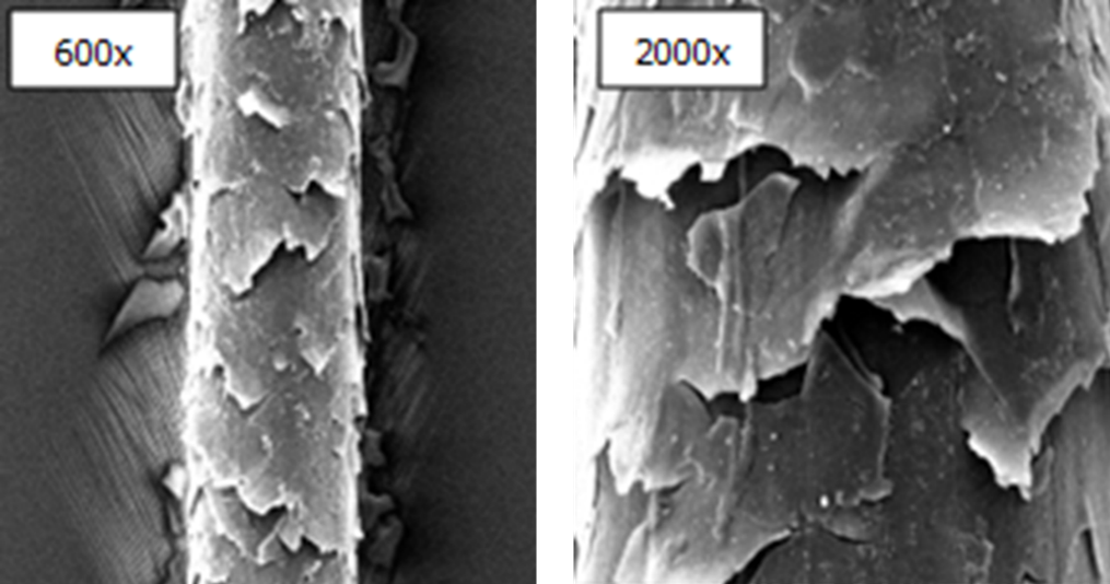 sem image 1 Satinique™ Intensive Repair Hair Treatment