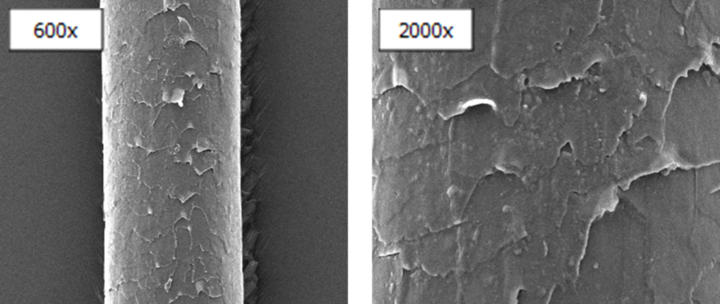 sem image 2 Satinique™ Intensive Repair Hair Treatment